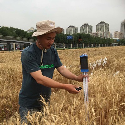 小麦株高丈量仪