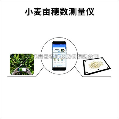 小麦亩穗数丈量仪/系统：：丈量小麦亩穗数的育种测产仪器