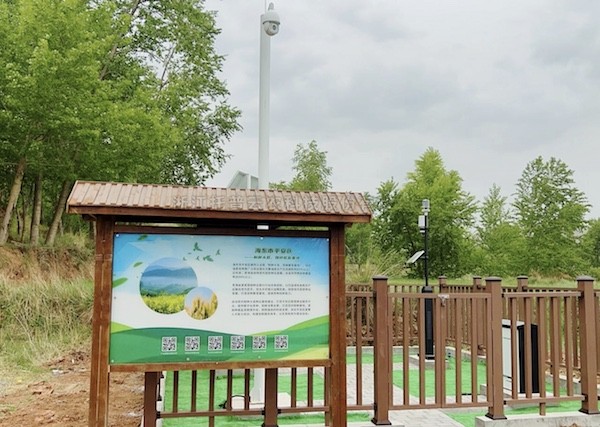 走进国度级油菜夏繁基地，感触科技赋能蓬勃动力