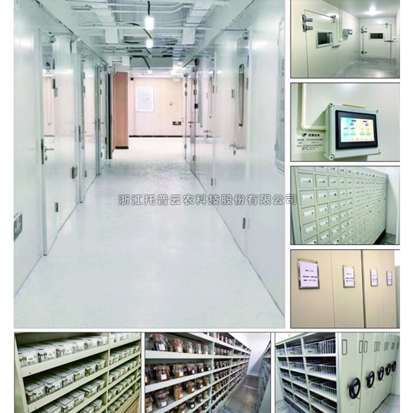 林木种质资源库具体介绍