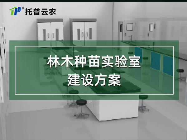 20250329140011328591 林木种苗尝试室建设规划