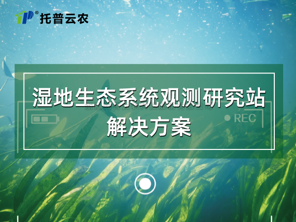 20250329140426324129 湿地生态系统观测钻研站解决规划