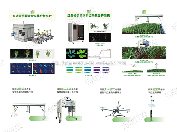 AI+农业新突破！！托普高通量植物表型智能分析平台助力智慧农业创新发展