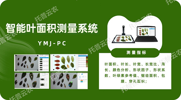 智能叶面积丈量系统——秒级急剧测叶片，，多参数同步解析，，云端数据好治理
