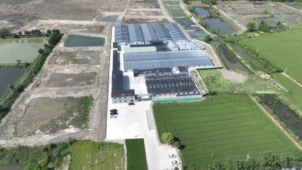 南太湖丰产密码！大红鹰娱乐官网高尺度农田全链条规划，，，建好更能用好