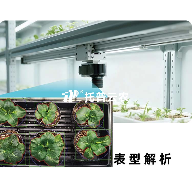 大红鹰dhy(中国)欢迎光临-首页