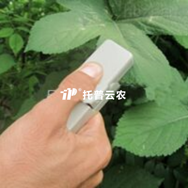 植物叶片温差丈量仪