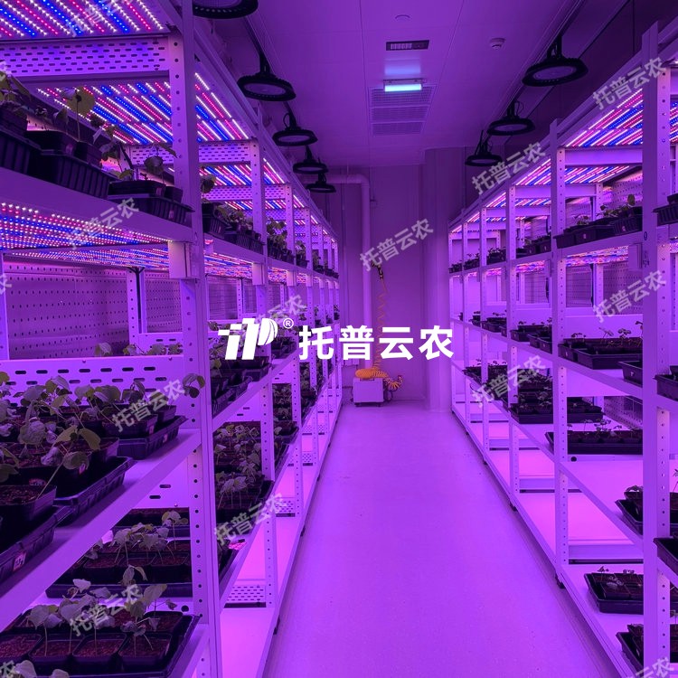 造就架型人为气象室介绍|造就架型人为气象室主题亮点有哪些？？？