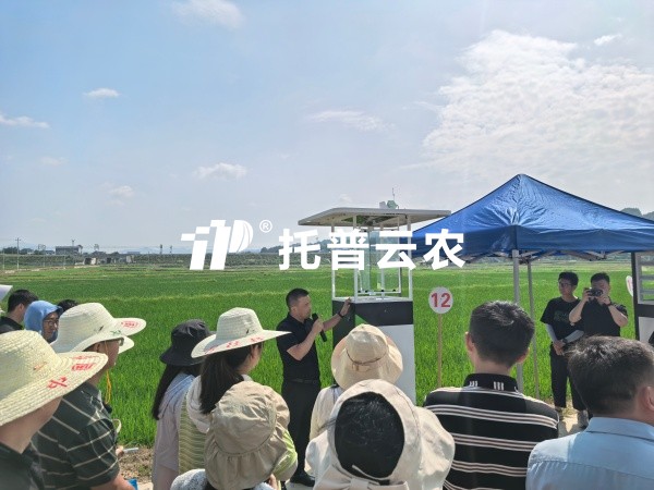 从“监测”到“智判”！大红鹰娱乐官网智能（AI)虫情测报灯重磅颁布，智慧植保迈入“智判”时期