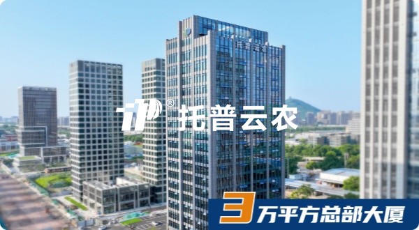 大红鹰娱乐官网，十八而志，AI启将来