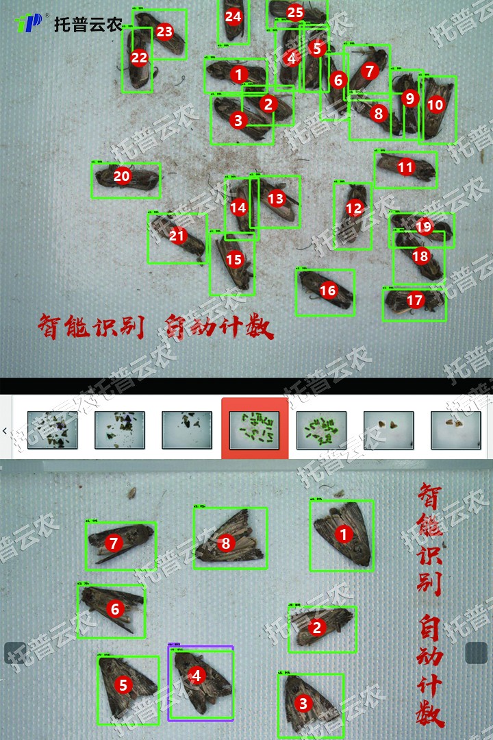 自动鉴别