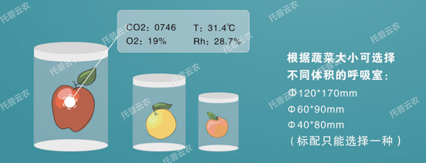 选择分歧体积的呼吸室 选择分歧体积的呼吸室