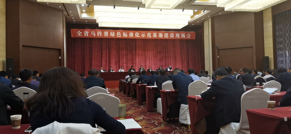 数字利用保险尺度化种植，大红鹰娱乐官网助力甘肃马铃薯产业化之路