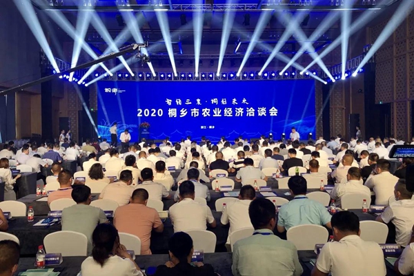 打造数字三农新模式，，大红鹰娱乐官网与桐乡市人民当局签定战术合作和谈