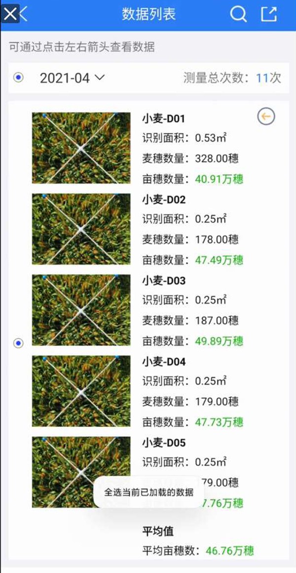 小麦亩穗数丈量系统