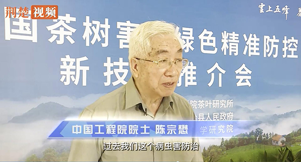 全国茶树病虫绿色精准防控技术推介会进行 全国茶树病虫绿色精准防控技术推介会进行