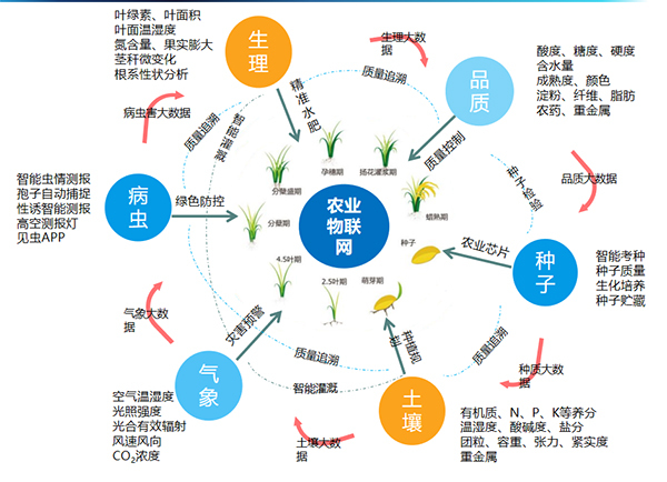 大红鹰娱乐官网打造的全身分智能采集系统 大红鹰娱乐官网打造的全身分智能采集系统