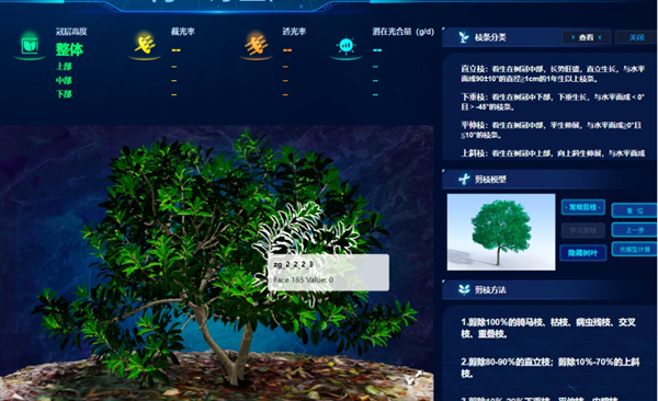 “云”上种颗杨梅树，田舍照着养杨梅
