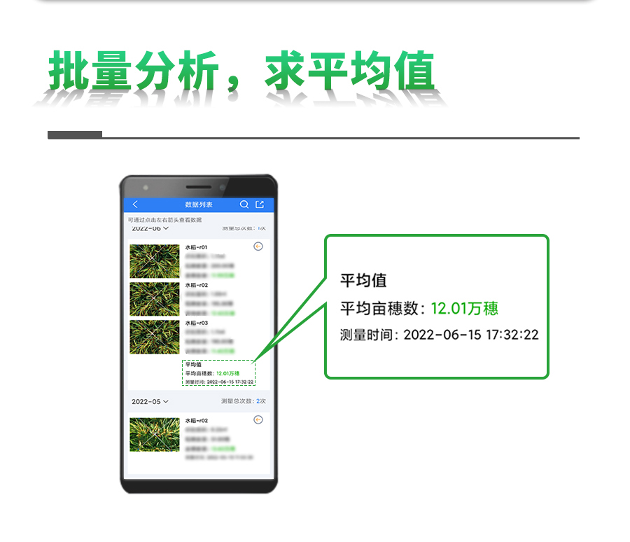 水稻亩穗数丈量系统 水稻亩穗数丈量系统
