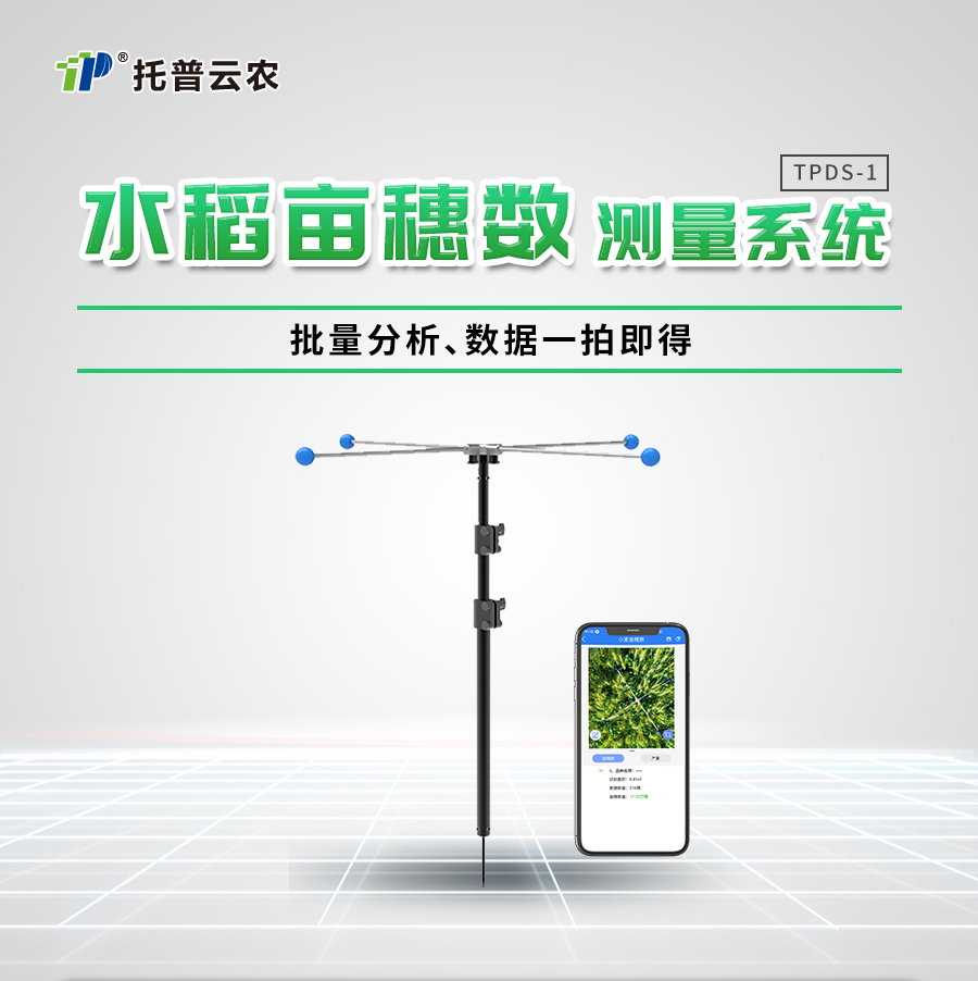 水稻亩穗数丈量系统 水稻亩穗数丈量系统