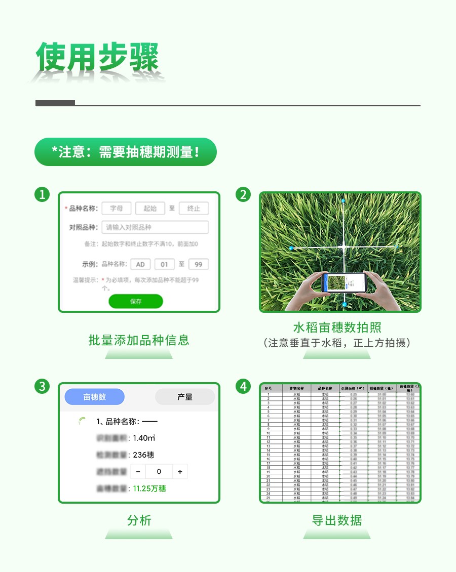 水稻亩穗数丈量系统 水稻亩穗数丈量系统