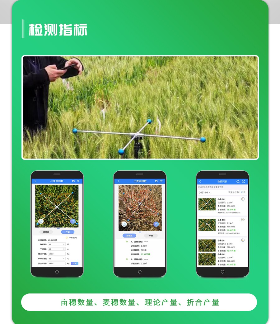 小麦亩穗数丈量仪