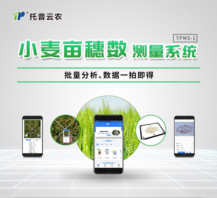 小麦亩穗数丈量仪