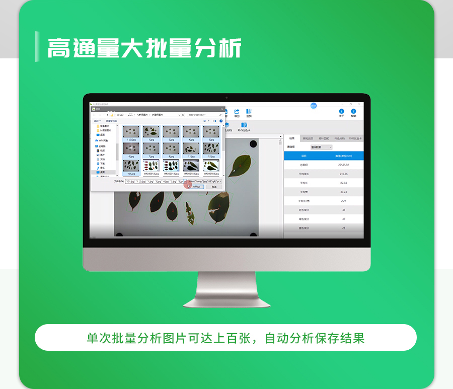 拍照式叶面积丈量仪 拍照式叶面积丈量仪