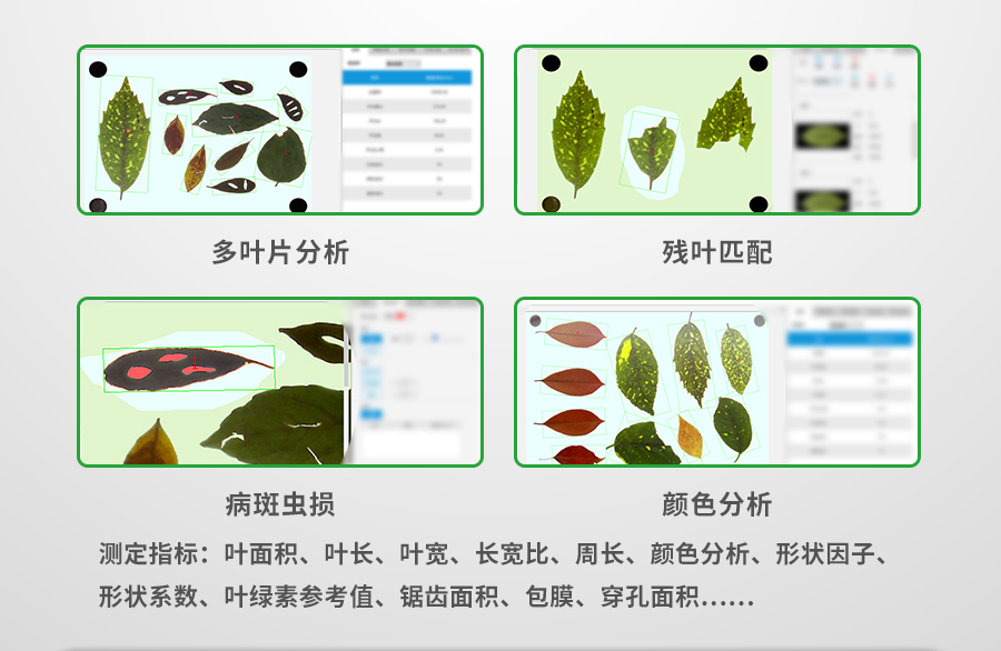 拍照式叶面积丈量仪 拍照式叶面积丈量仪