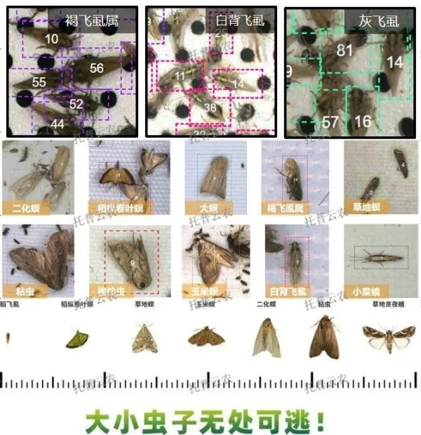 1722588729339883.jpg 图片2.jpg