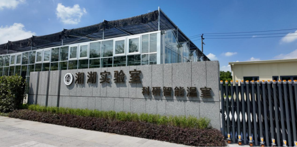 图六_副本.png